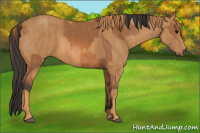 Horse Color:Bay Brindle