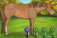 Horse Color:Bay  Brindle