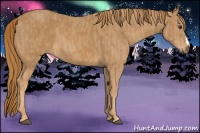 Horse Color:Chestnut  Brindle