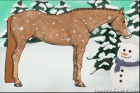 Horse Color:Chestnut Splash  Brindle