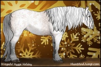 Horse Color:Gray Bay Splash 