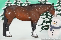 Horse Color:Bay Splash 