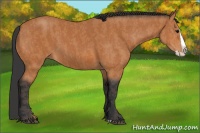 Horse Color:Bay Splash Brindle