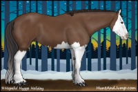 Horse Color:Bay Splash 