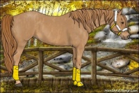 Horse Color:Red Roan  Brindle