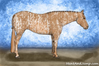 Horse Color:Chestnut Blanket  Brindle