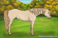 Horse Color:Red Dun  Brindle