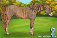 Horse Color:Grullo Splash Brindle