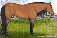 Horse Color:Bay  Brindle