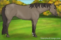 Horse Color:Smoky Grullo 