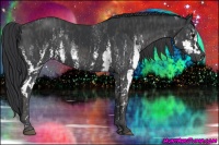 Horse Color:White Spotted Black  Brindle