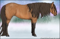 Horse Color:Bay  Brindle