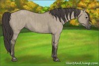 Horse Color:Smoky Grullo Brindle