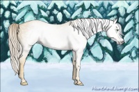 Horse Color:Gray Gold Cream Champagne  Brindle