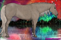 Horse Color:Silver Grullo  Brindle