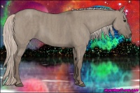 Horse Color:Silver Grullo  Brindle