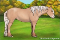 Horse Color:Silver Amber Champagne Frame 