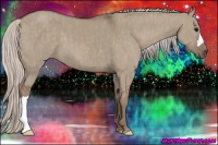 Horse Color:Silver Grullo  Brindle