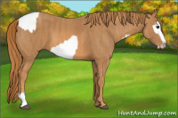 Horse Color:Bay Dun Tobiano Blanket  Brindle