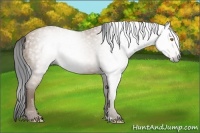Horse Color:Gray Sable Champagne 
