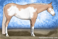Horse Color:Silver Amber Champagne Frame 