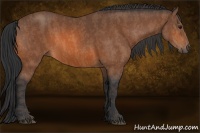 Horse Color:Bay  Brindle
