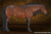 Horse Color:Bay  Brindle