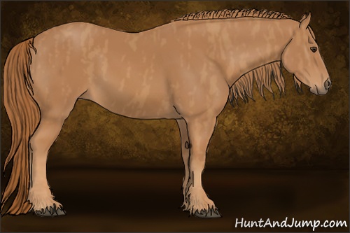 Horse Color: Chestnut  Brindle