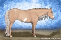 Horse Color:Silver Amber Champagne Frame 