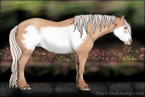 Horse Color: Silver Amber Champagne Frame 