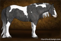 Horse Color:Black Splash Tobiano  Brindle