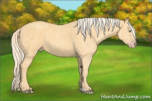 Horse Color: Gold Cream Champagne  Brindle