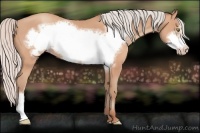 Horse Color:Silver Amber Champagne Frame 