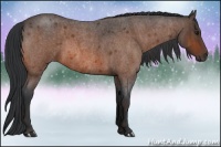 Horse Color:Bay Roan  Brindle