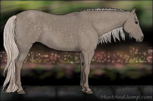 Horse Color: Silver Grullo  Brindle