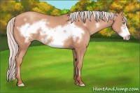 Horse Color:Silver Sable Champagne Frame 