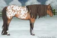 Horse Color:Bay Tobiano Blanket  Brindle