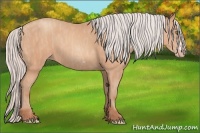 Horse Color:Silver Amber Champagne Frame Brindle