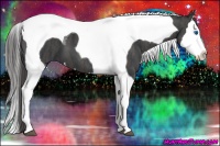 Horse Color:Black Splash Tobiano Brindle