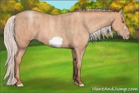 Horse Color:Silver Amber Champagne Roan Frame  Brindle