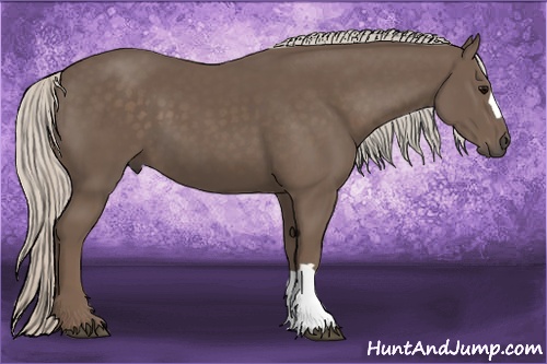 Horse Color: Silver Black 