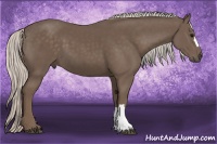 Horse Color:Silver Black 