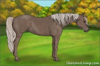 Horse Color:Silver Black  Brindle