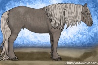 Horse Color:Silver Black  Brindle
