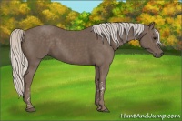 Horse Color:Silver Black  Brindle