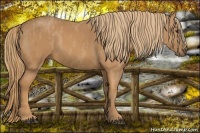 Horse Color:Chestnut  Brindle