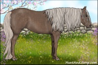 Horse Color:Silver Black  Brindle
