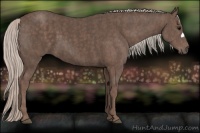 Horse Color:Silver Black Brindle