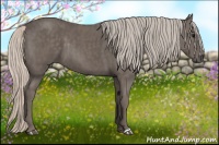 Horse Color:Silver Black  Brindle