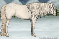 Horse Color:Perlino  Brindle